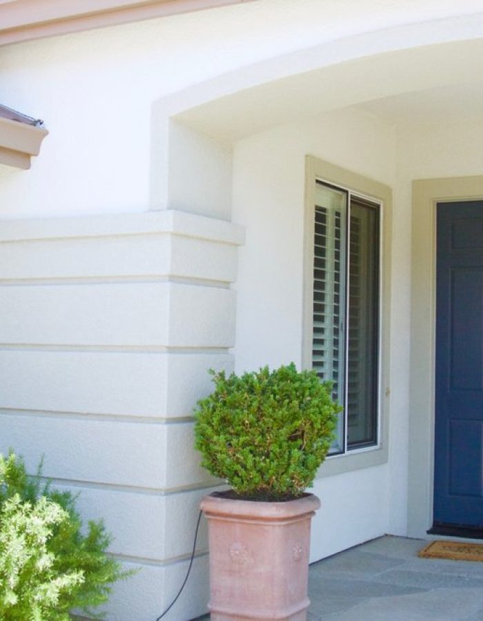 Exterior Statement Door